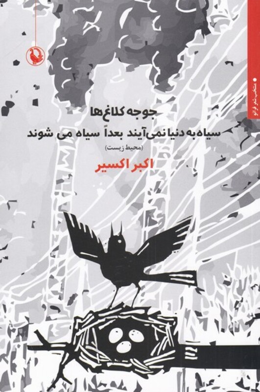 جوجه کلاغ ها سیاه به دنیا نمی آیند بعدا سیاه