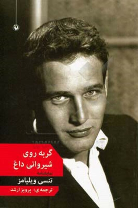 کتاب گربه روی شیروانی داغ اثر تنسی ویلیامز