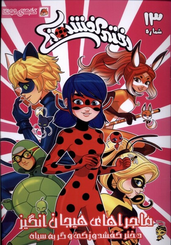 کتاب دختر کفشدوزکی 13 اثر گابریله الهاگ