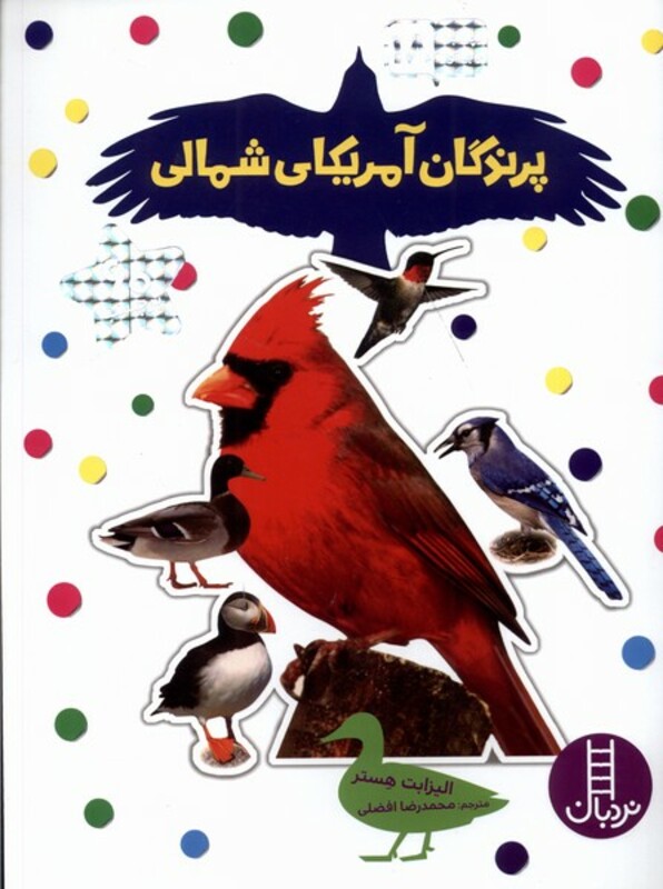 پرندگان آمریکای شمالی