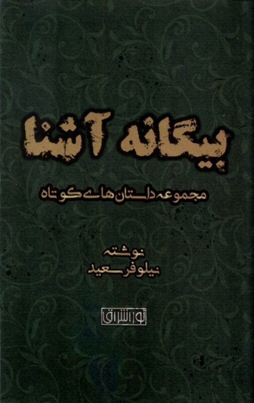 کتاب بیگانه آشنا نور اشراق