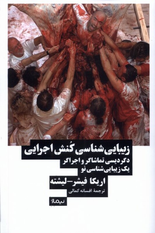 زیبایی شناسی کنش اجرایی نیماژ