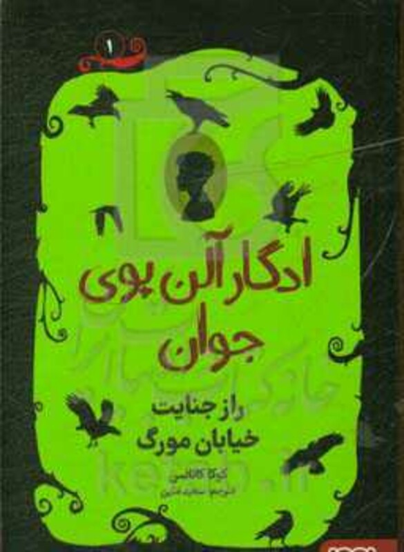 ادگار آلن پوی جوان 1