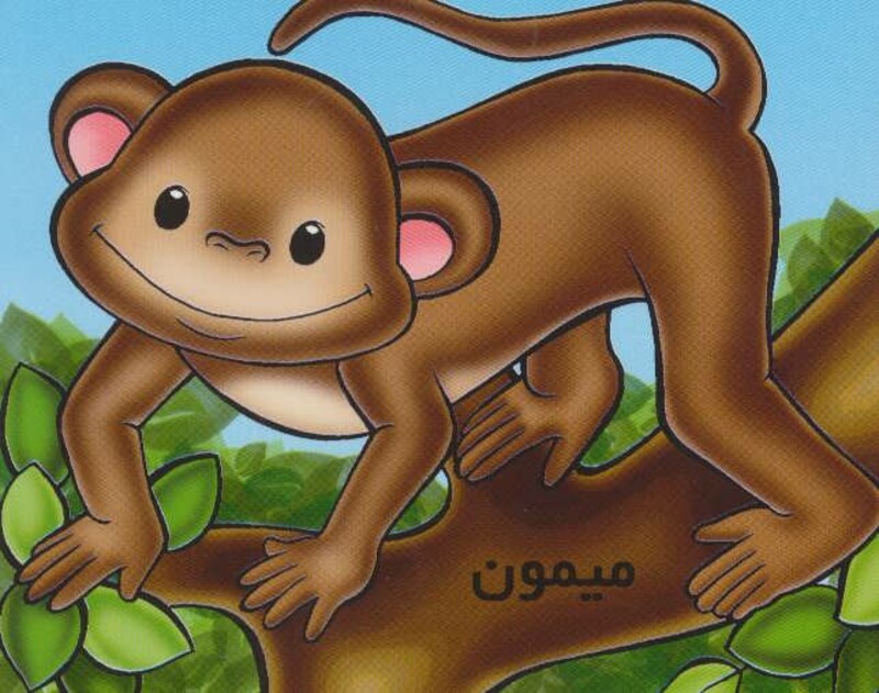کتاب میمون از حیوانات را بشناسیم