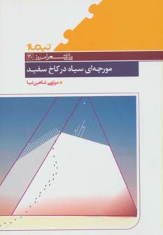 کتاب مورچه ای سیاه در کاخ سفید