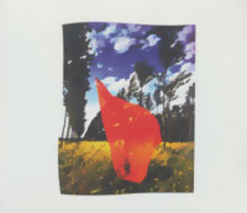 کتاب ای کاش اینجا بودی