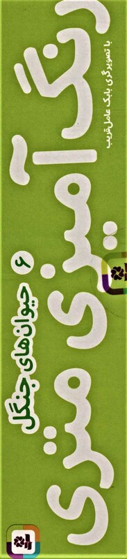 رنگ آمیزی متری شش