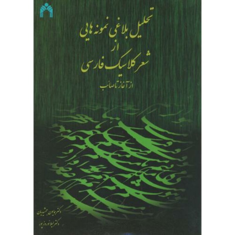 تحلیل بلاغی نمونه هایی از شعر کلاسیک از آغاز تا صائب