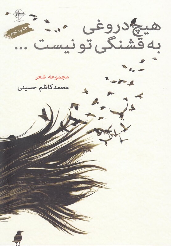 کتاب هیچ دروغی به قشنگی تو نیست