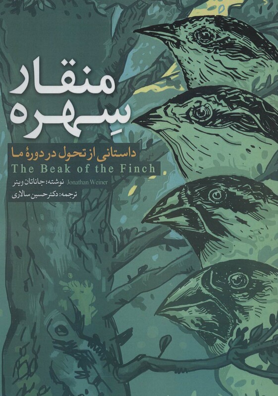 کتاب منقار سهره