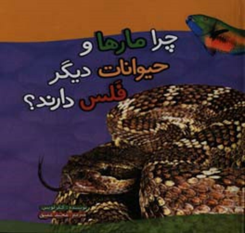 چرا مارها و حیوانات دیگر فلس دارند؟