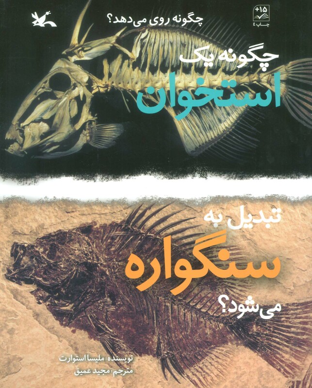 کتاب چگونه یک استخوان تبدیل به سنگواره می شود؟