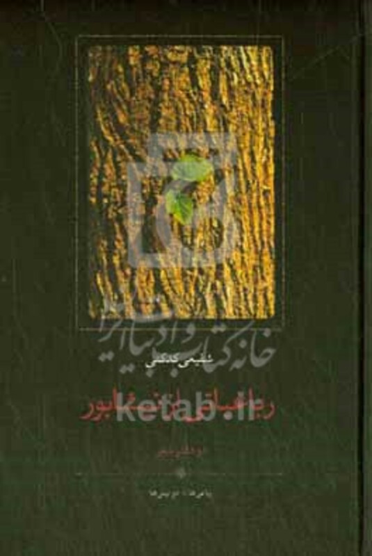 کتاب رباعیاتی از نیشابور زرکوب،رقعی،سخن