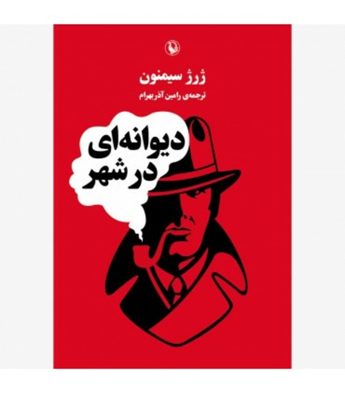 کتاب دیوانه ای در شهر