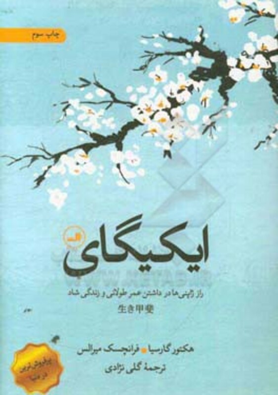 کتاب ایکیگای نشر ثالث