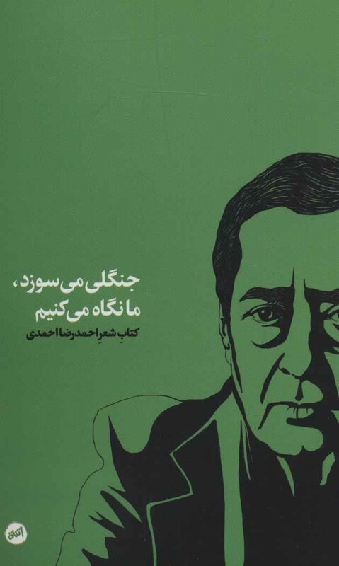 کتاب جنگلی می سوزد ما نگاه می کنیم