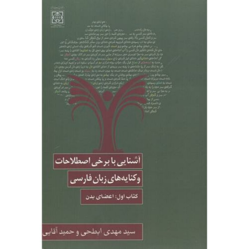 کتاب آشنایی با برخی اصطلاحات و کنایه های زبان فارسی