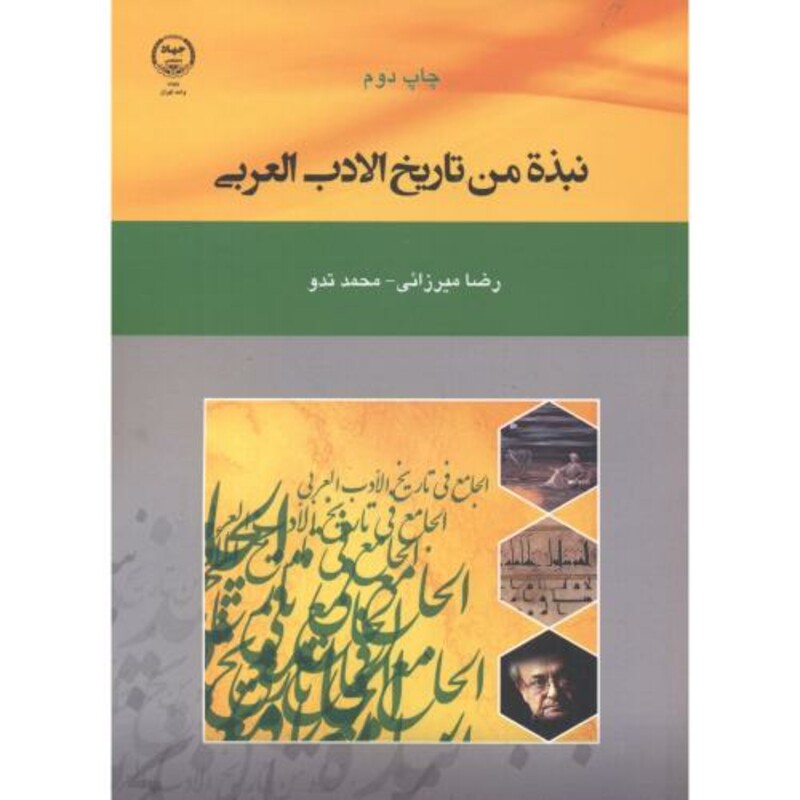 کتاب نبذة من تاریخ الادب العربی