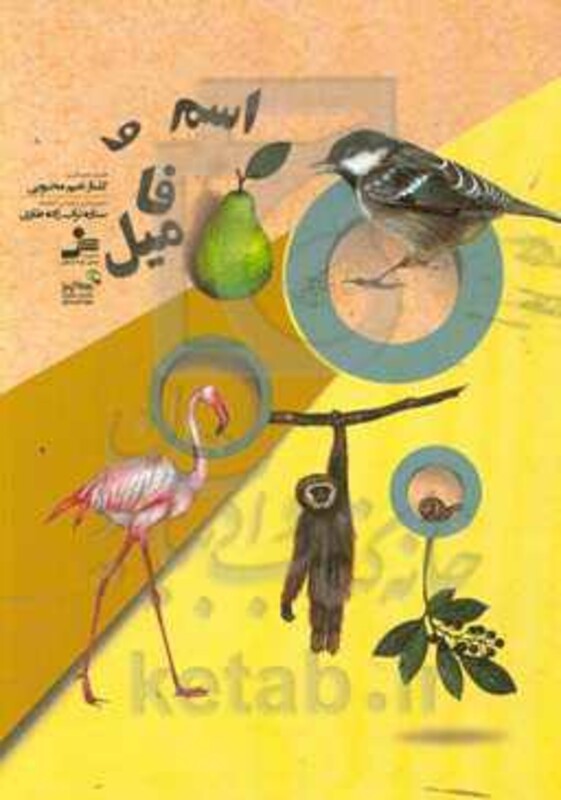 کتاب اسم و فامیل