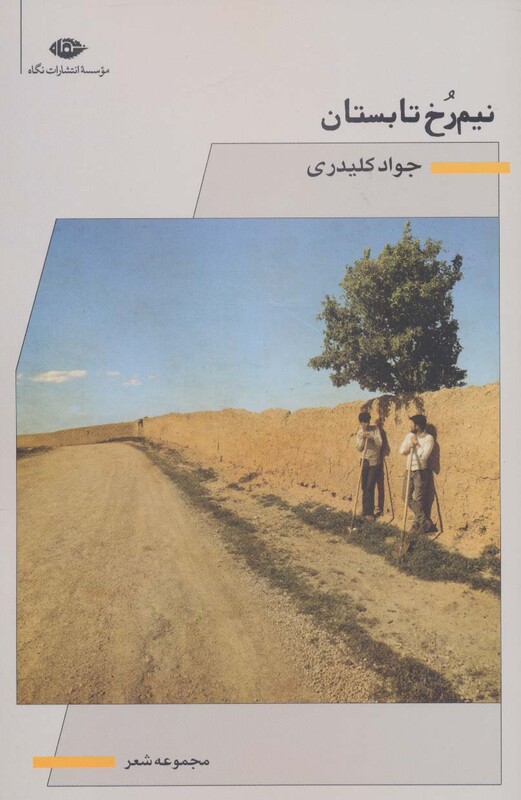 کتاب نیم رخ تابستان