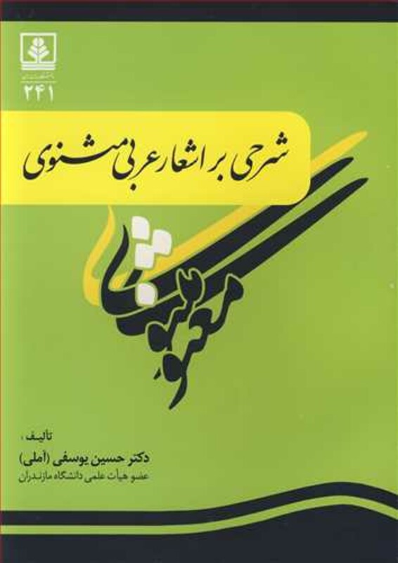 کتاب شرحی بر اشعار عربی مثنوی