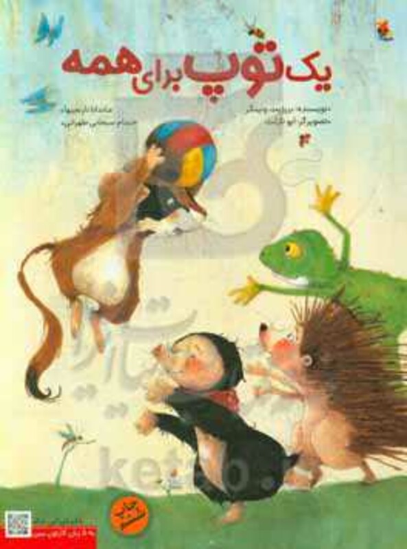 کتاب یک توپ برای همه