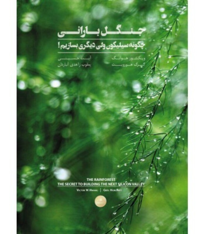 کتاب جنگل بارانی چگونه سیلیکون ولی دیگری بسازیم