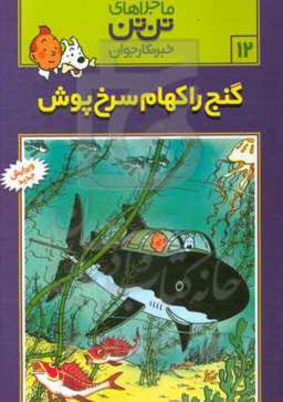 کتاب تن تن12