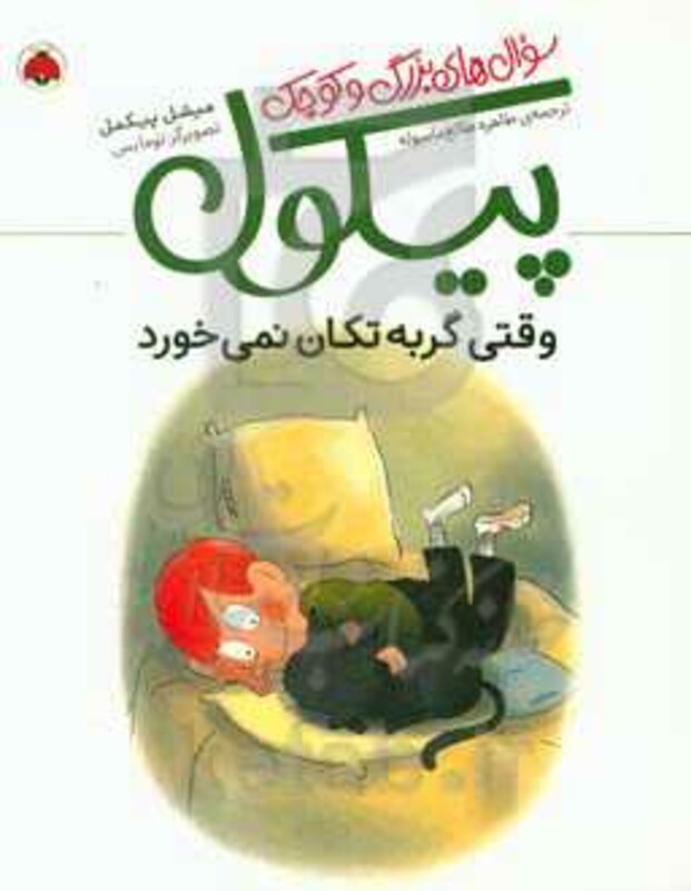 کتاب سوال های بزرگ و کوچک پیکول وقتی گربه تکان نمی خورد