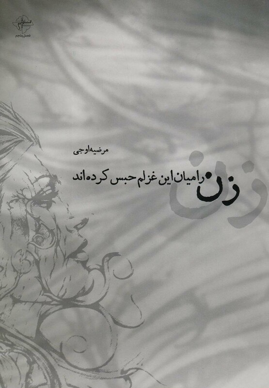 کتاب زن را میان این غزلم حبس کرده اند