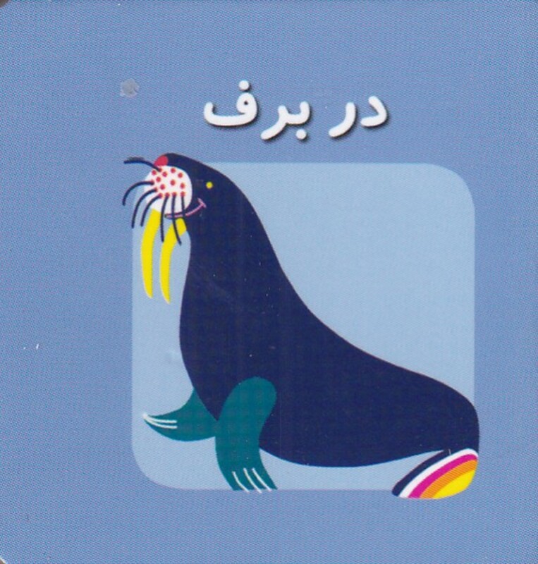 کتاب در برف از اولین کتاب مکعبی من