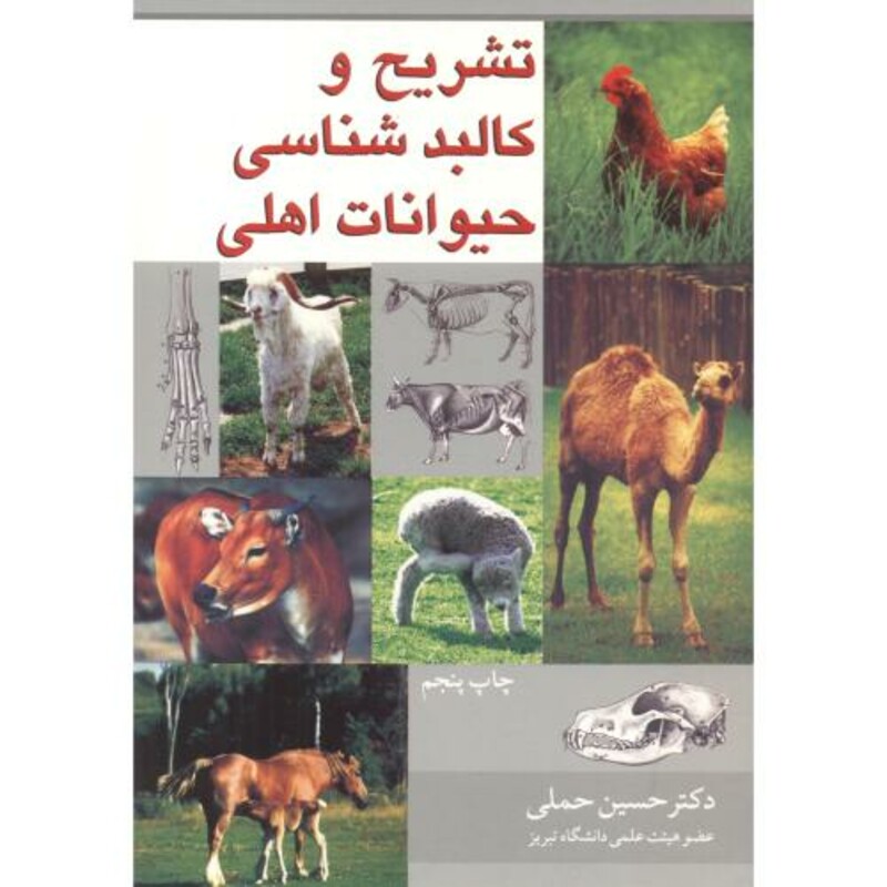 تشریح و کالبدشناسی حیوانات اهلی
