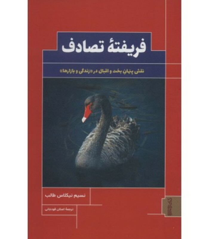 فریفته تصادف