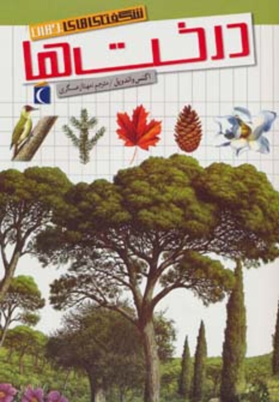 شگفتی های جهان درخت ها