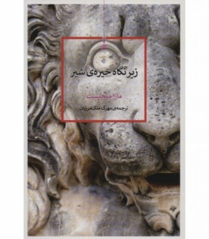 زیر نگاه خیره شیر