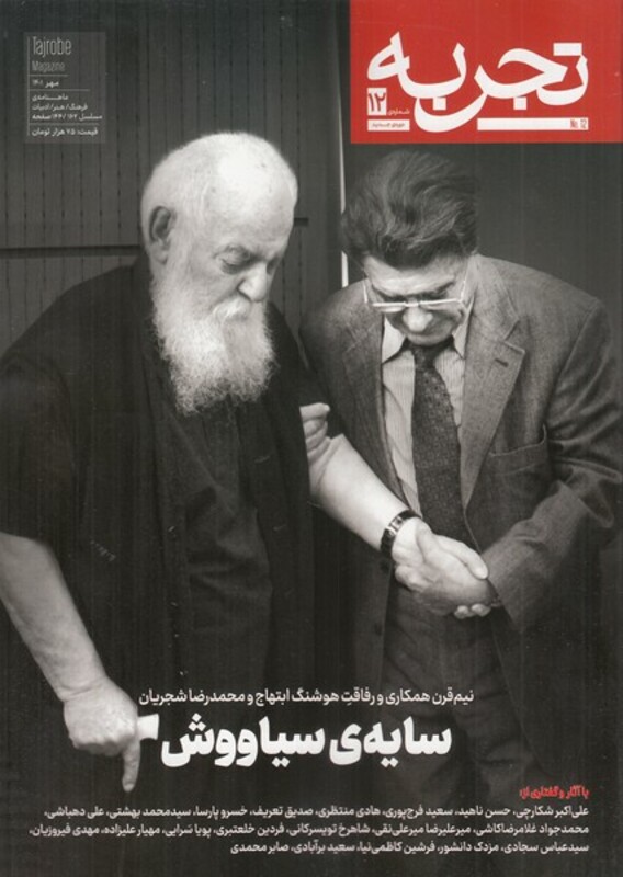 مجله تجربه 12 فرهنگ و هنر و ادبیات دیبایه