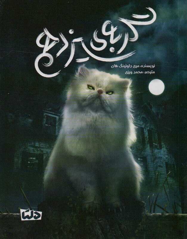 گربه سیزدهم