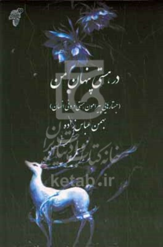 کتاب در هستی پنهان من جستارهایی پیرامون کشف حقیقت هستی درونی