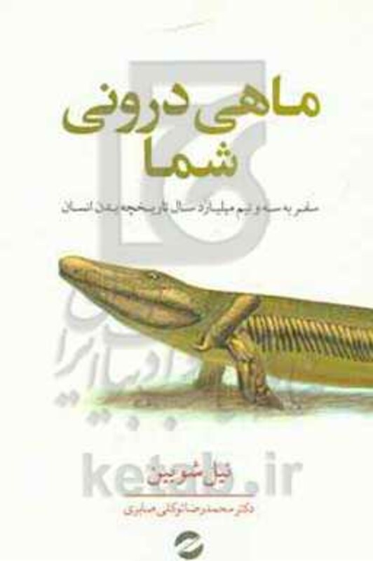 کتاب ماهی درونی شما سفر به 3 5 میلیارد سال تاریخچه بدن انسان