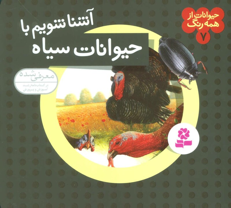 آشنا شویم با حیوانات سیاه