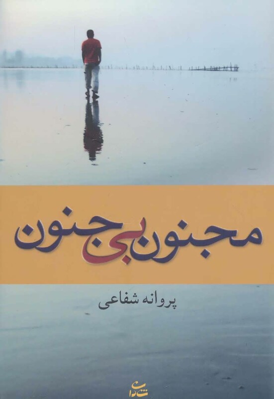 کتاب مجنون بی جنون