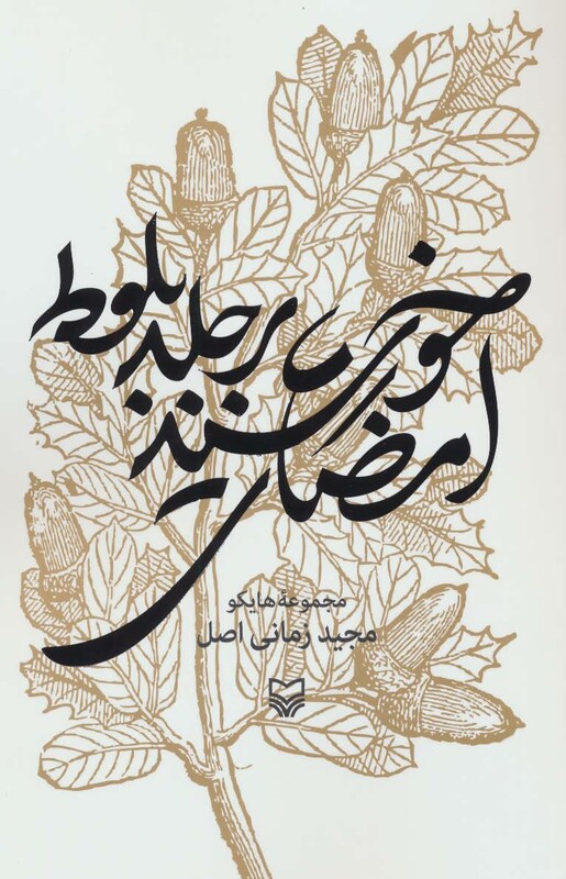 کتاب امضای خورشید بر جلد بلوط