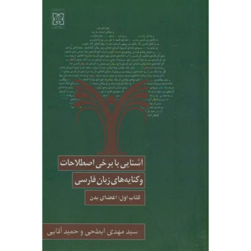 کتاب برخی اصطلاحات و کنایه های زبان فارسی