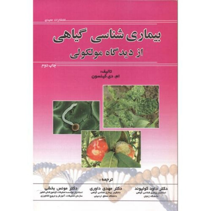 کتاب ریاضیات علم کامپیوتر 2 نشر علوم رایانه