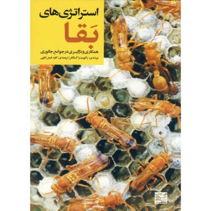 کتاب استراتژی های بقا