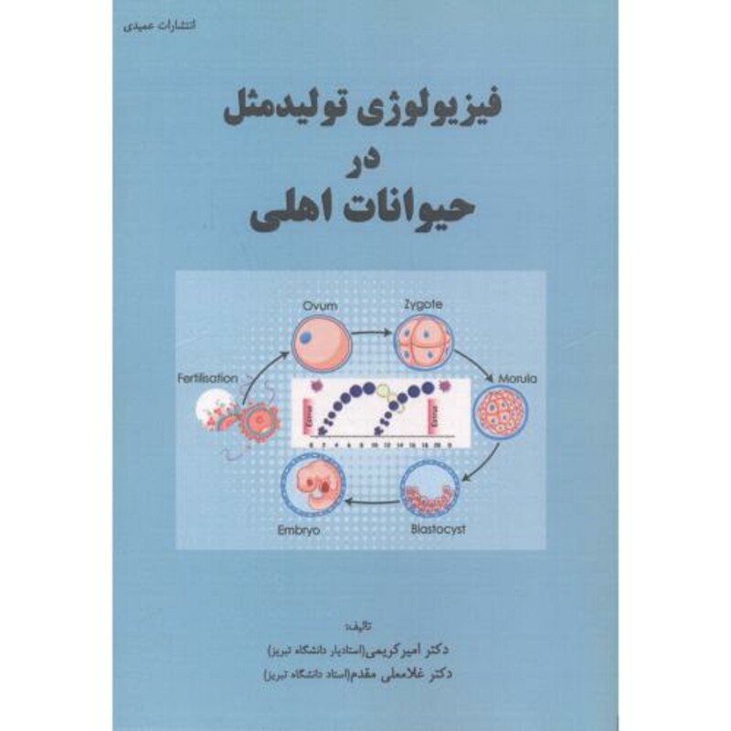 کتاب آموزش گام به گامWORD