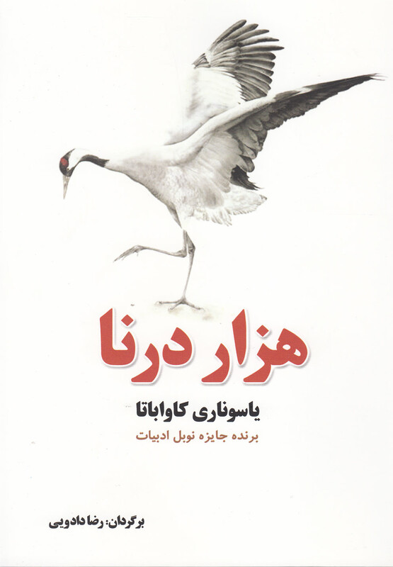 کتاب هزار درنا نشر آمه