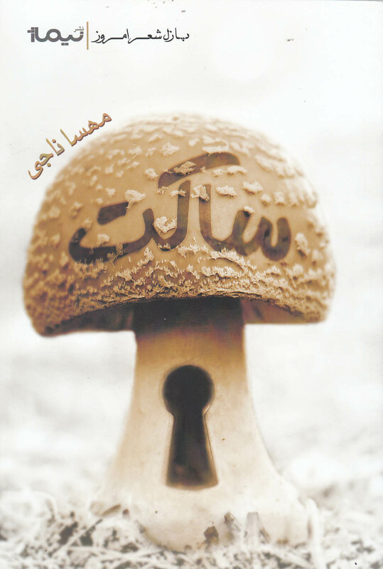 پازل شعر امروز ساکت