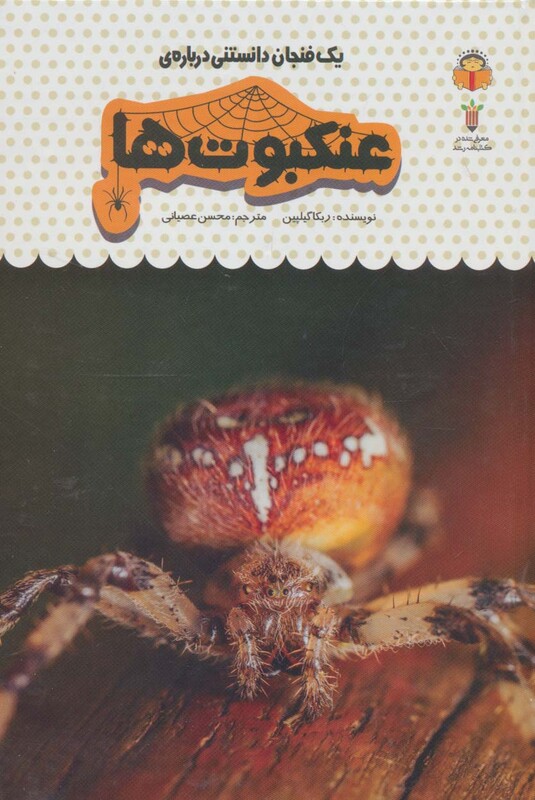 کتاب یک فنجان دانستنی درباره عنکبوت ها