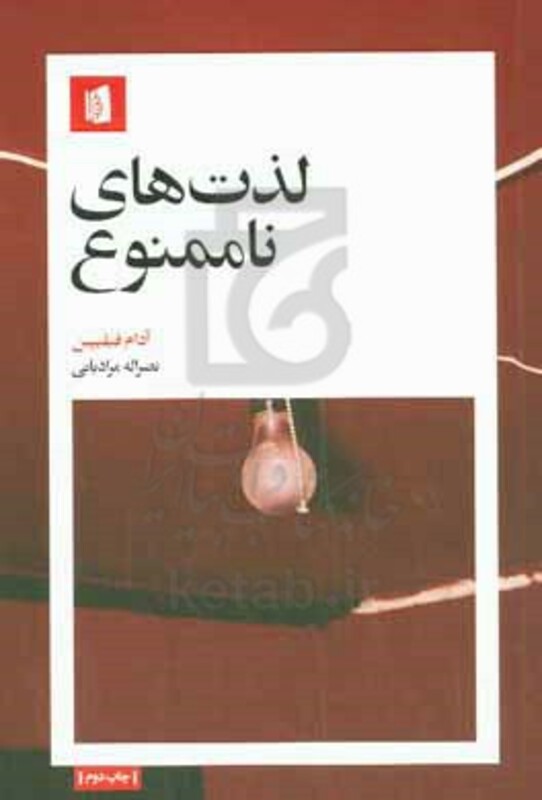 کتاب لذت های ناممنوع شمیز،پالتویی،بیدگل